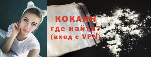 стаф Осинники