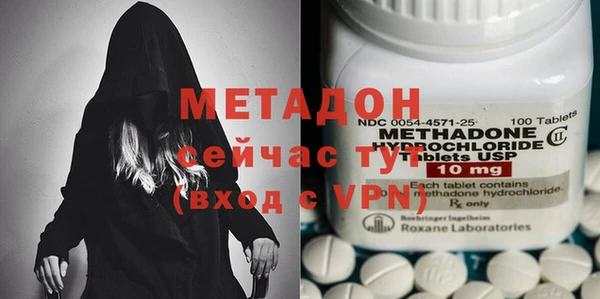стаф Осинники