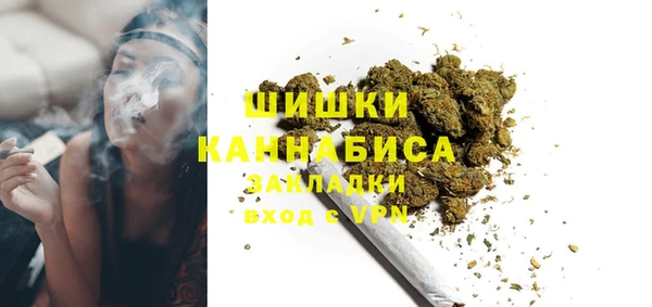 стаф Осинники