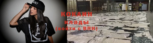 стаф Осинники