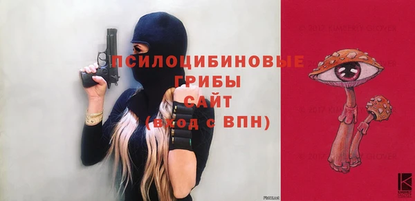 стаф Осинники