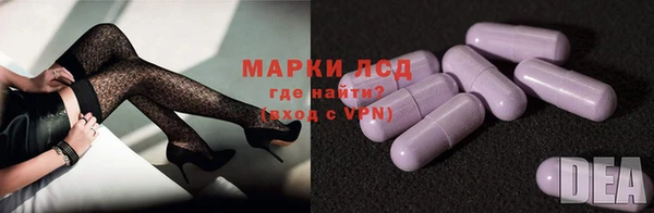 стаф Осинники