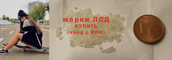 стаф Осинники