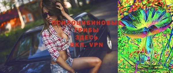 винт Осташков