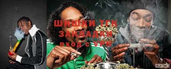 стаф Осинники