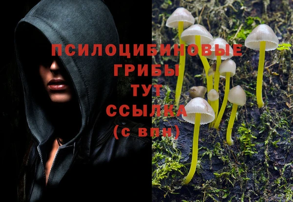 винт Осташков