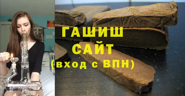 стаф Осинники