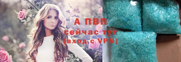 винт Осташков