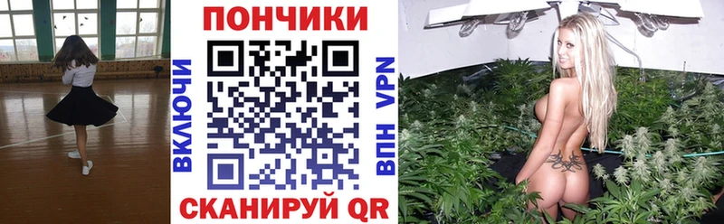 Конопля Bruce Banner  Бакал 